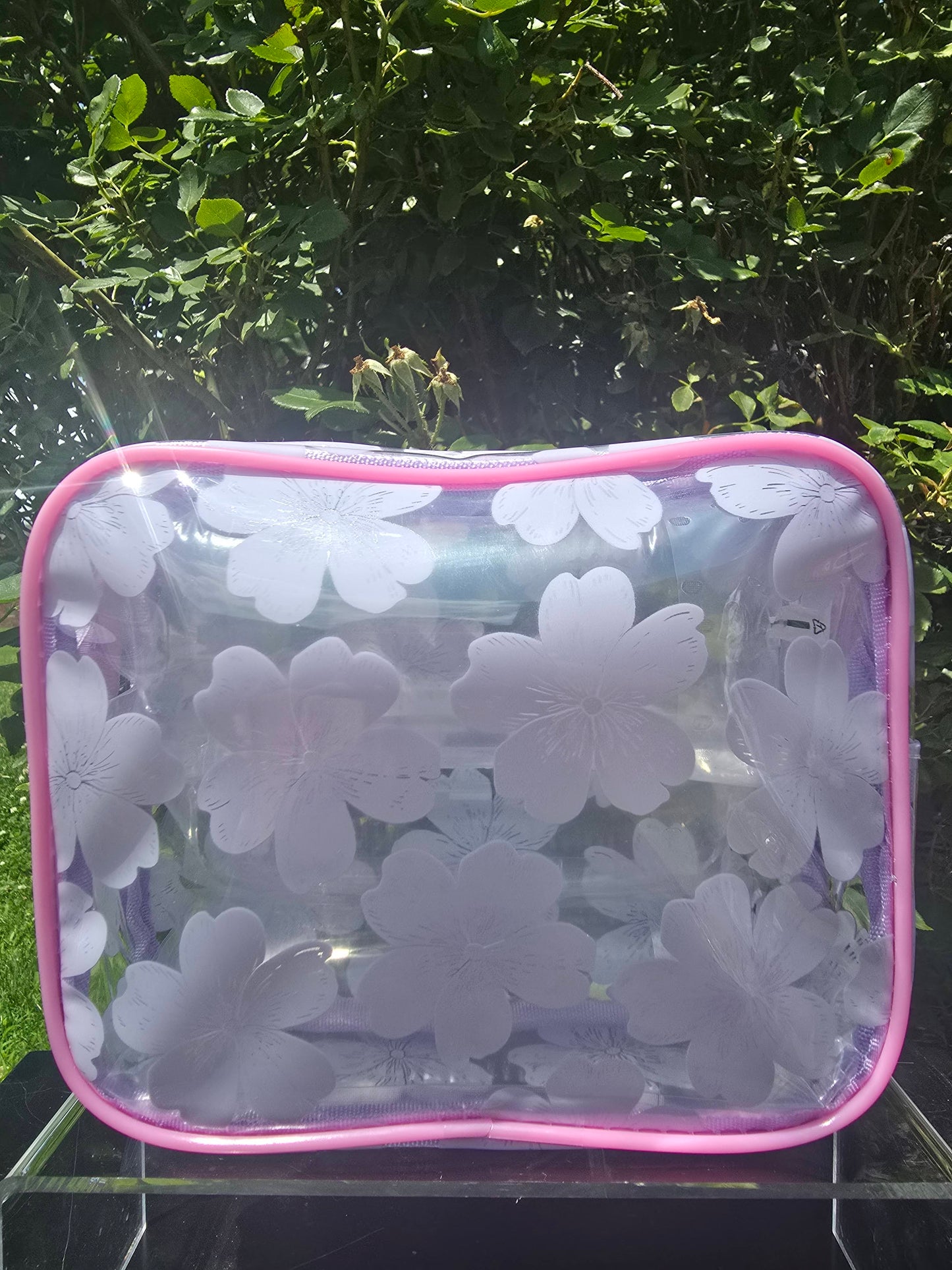Jet Setter Clear Bag: Small