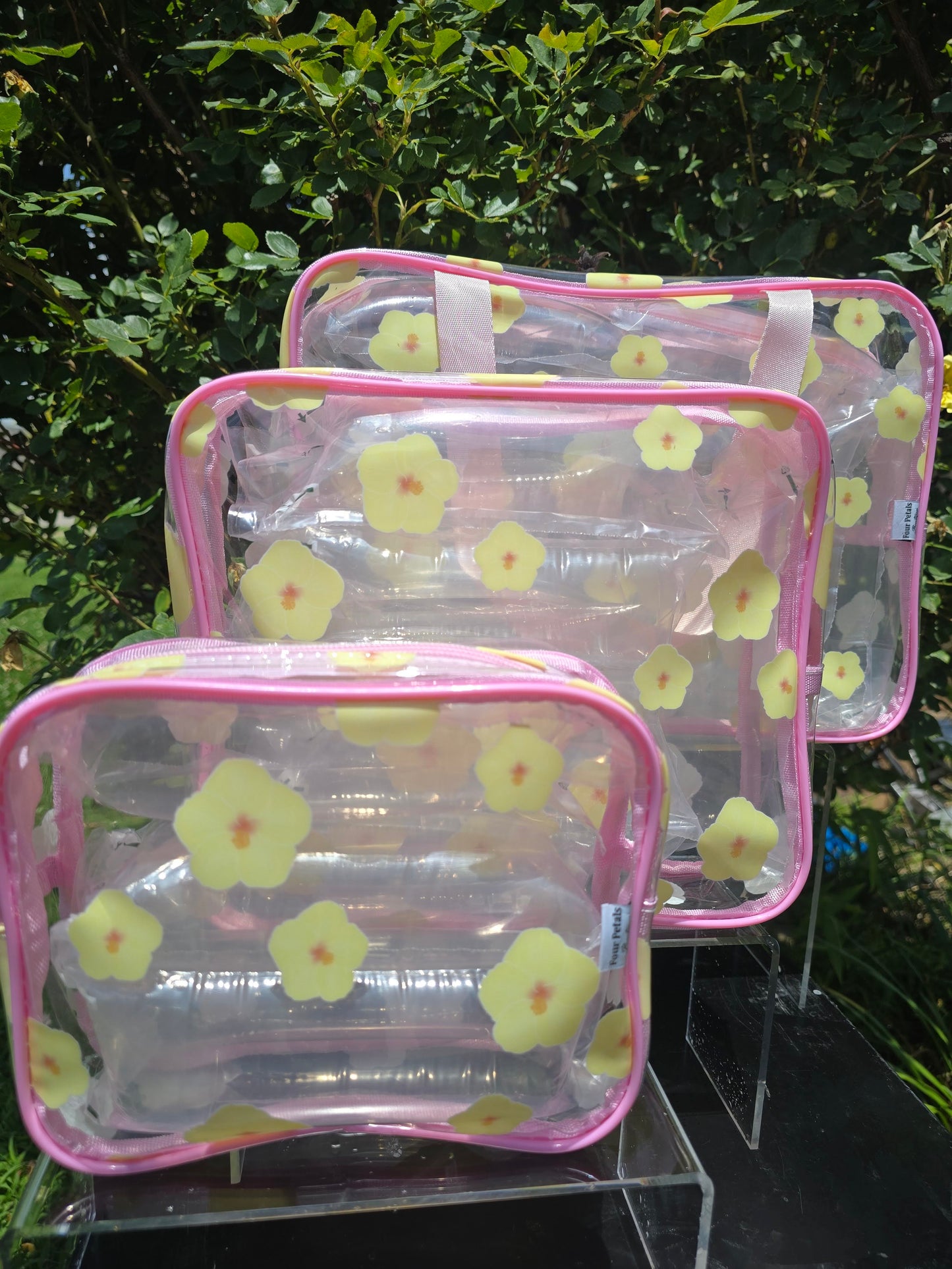 Jet Setter Clear Bag Trio