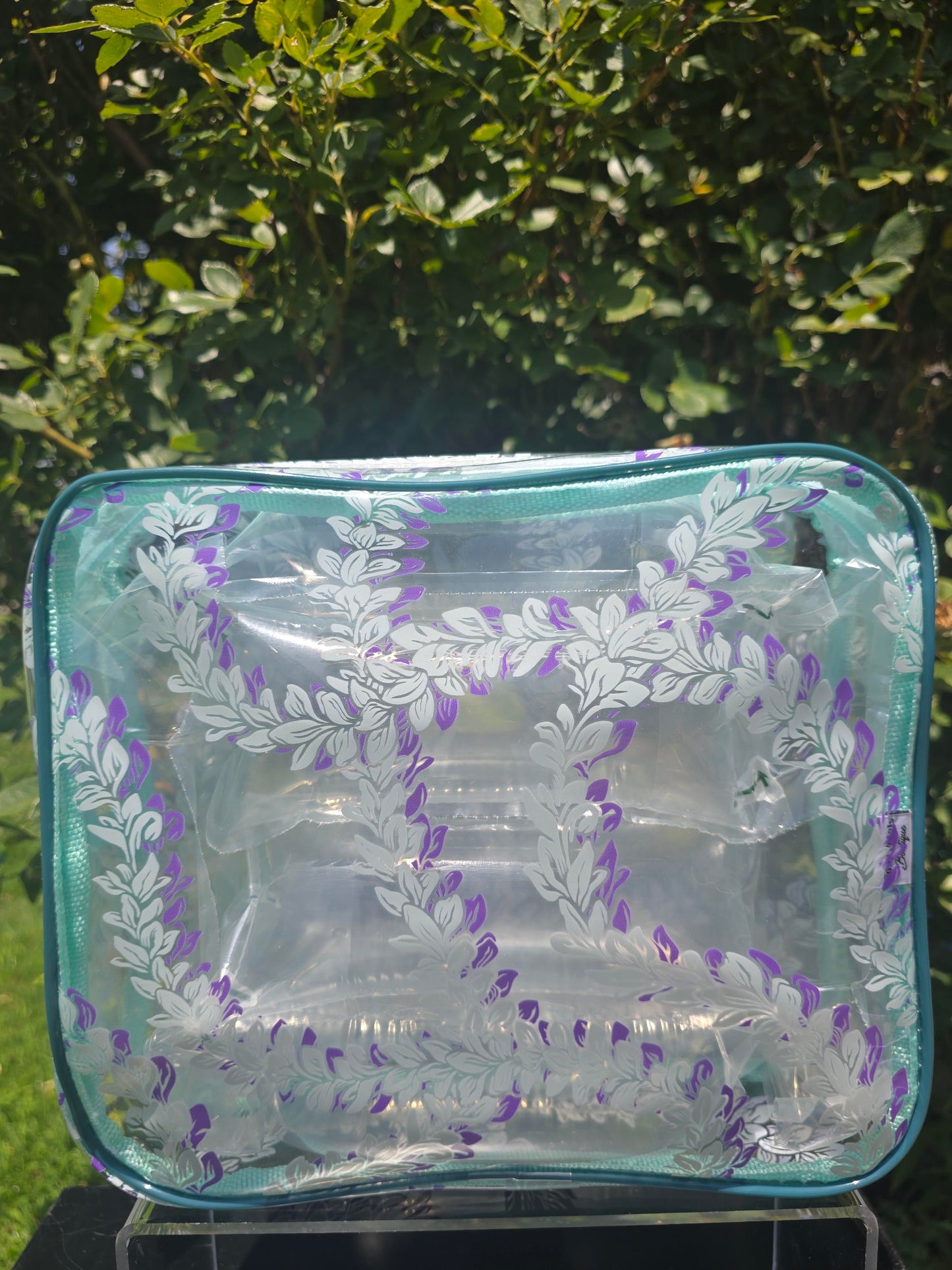 Jet Setter Clear Bag: Medium
