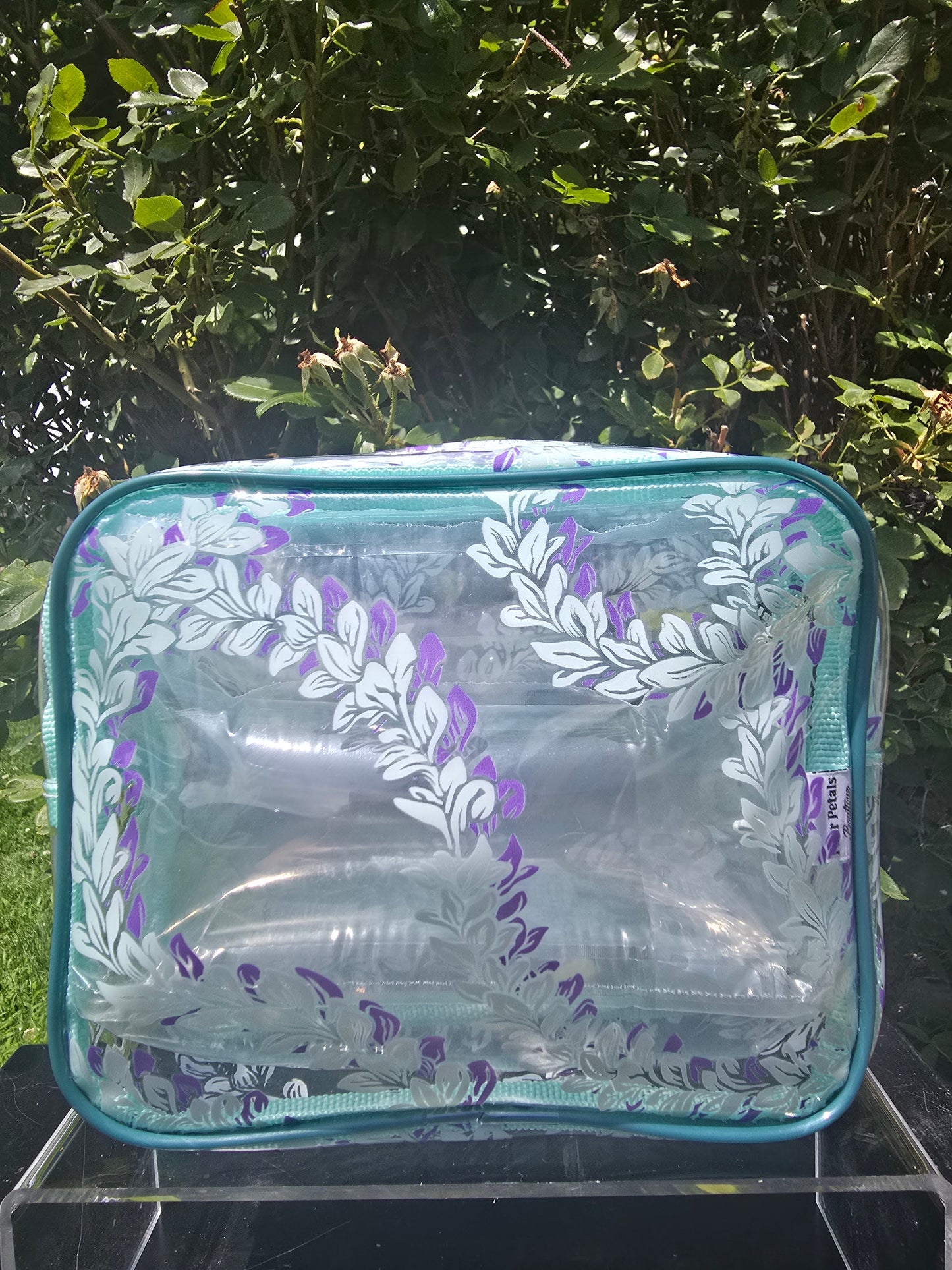 Jet Setter Clear Bag: Small