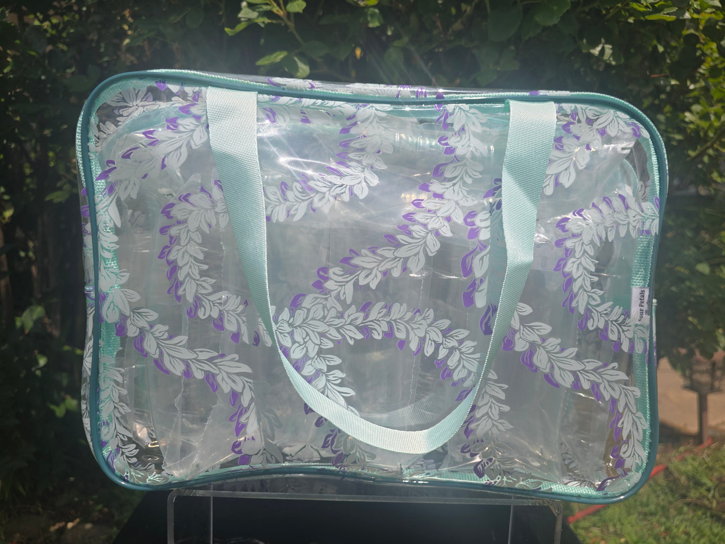 Jet Setter Clear Bag: Large