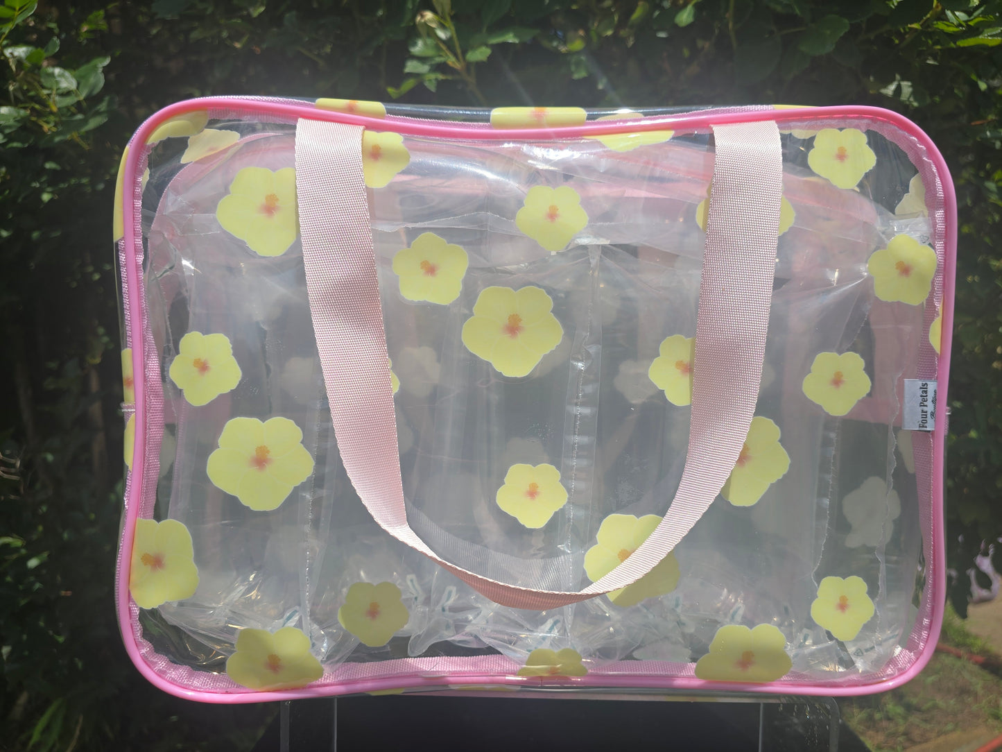 Jet Setter Clear Bag: Large