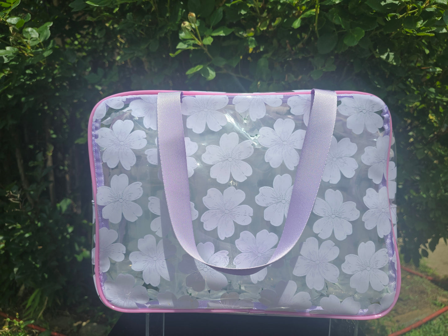 Jet Setter Clear Bag: Large